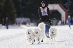 Lenzerheide 2013